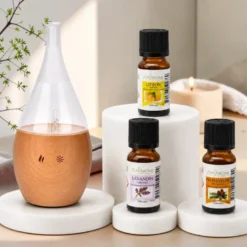 Diffuseur nébulisation bolea + 3 he citron, lavandin et pin sylvestre