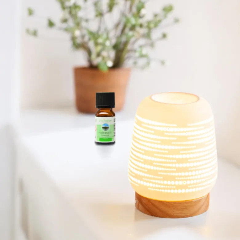 Diffuseur par chaleur douce calorya n°16