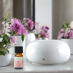 Diffuseur par chaleur douce cérazen blanc en céramique autorégulée
