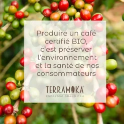 80 dosettes senseo® en café bio du brésil mexique