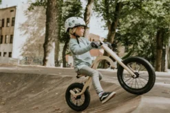 Draisienne en bois évolutive 1 à 5 ans