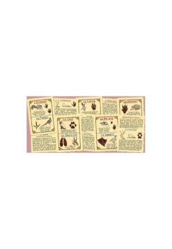 Empreintes d'animaux de nos campagnes