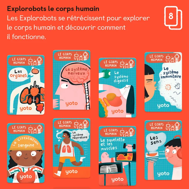 Explorobots : le corps humain
