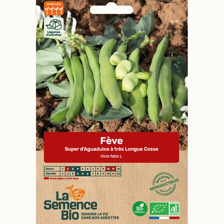 Feve aguadulce à très longues cosses bio