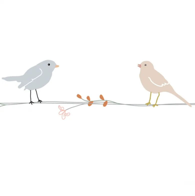 Frise adhésive fleurs et oiseaux (5 mètres)