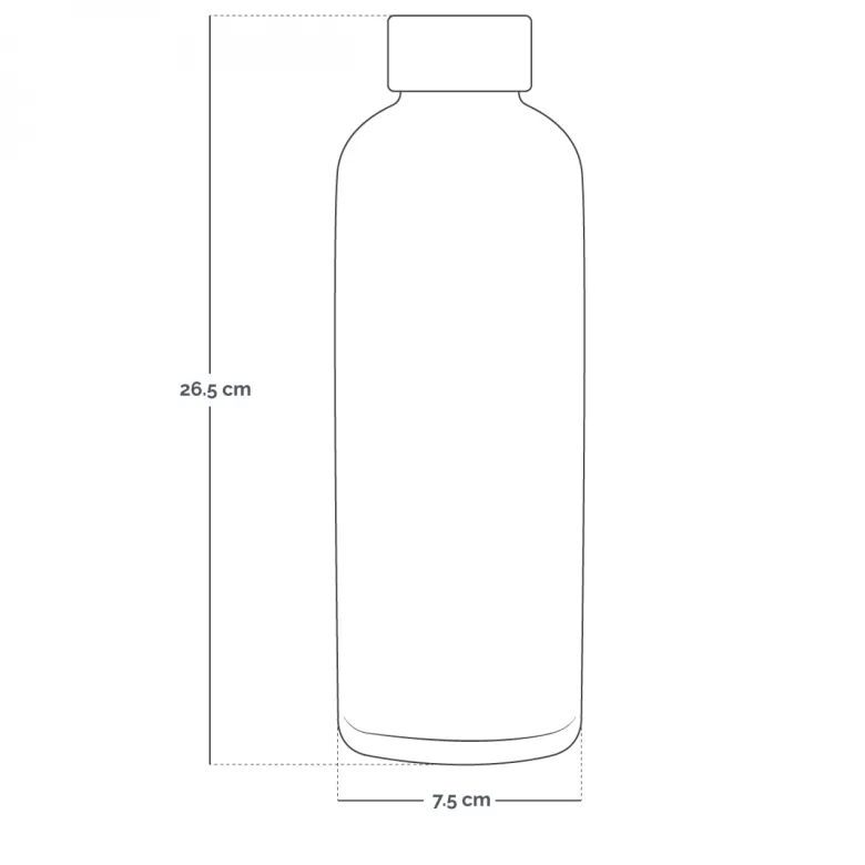 Gourde isotherme 750ml - gris