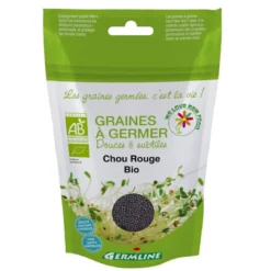 Graines à germer chou rouge germline