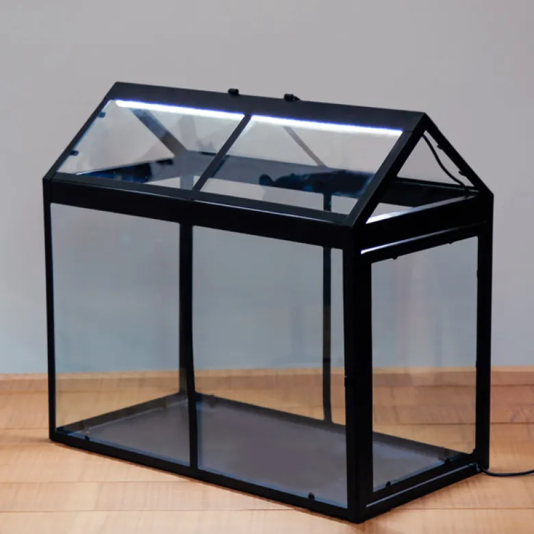 Grande serre avec éclairage LED