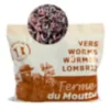 500gr de vers de compost - lombric