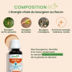 Herbalgem - energem surcharge mentale - bio