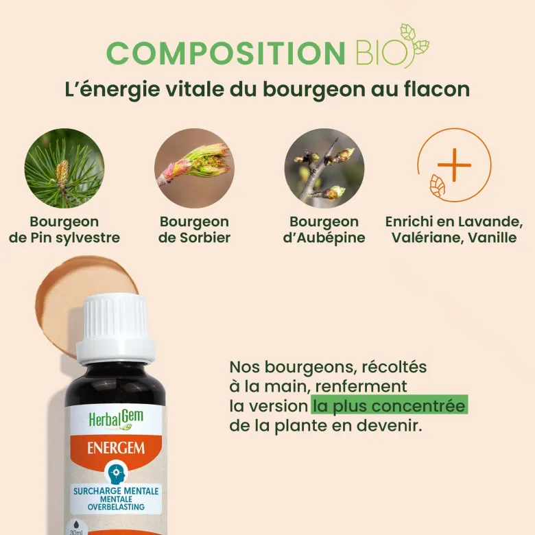 Herbalgem - energem surcharge mentale - bio