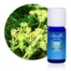 Huile essentielle aneth, plante bio
