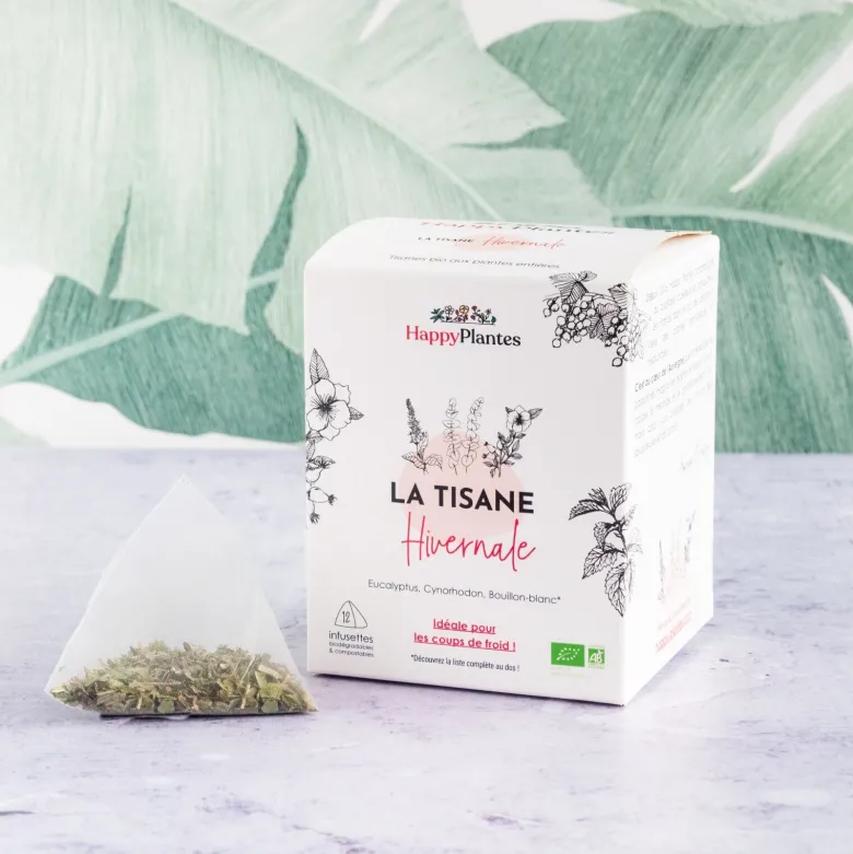 Infusion bio hivernale 20 infusettes