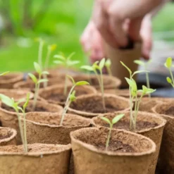 Jardin d'aromates 12 sachets de graines