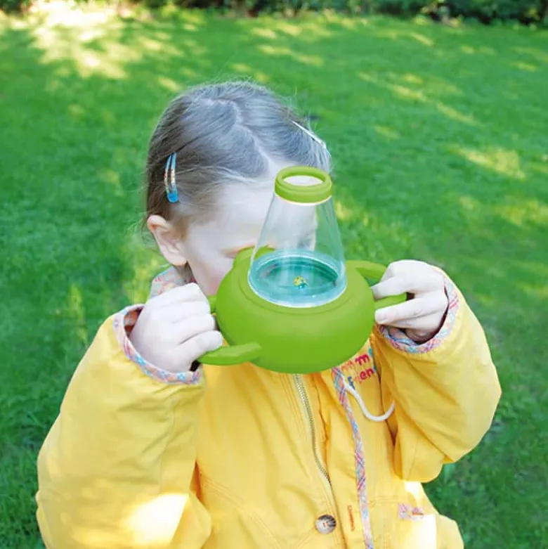Jeu d'observation des insectes