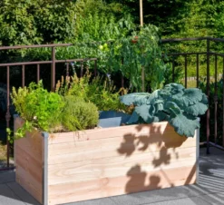 Keyhole garden terrasse