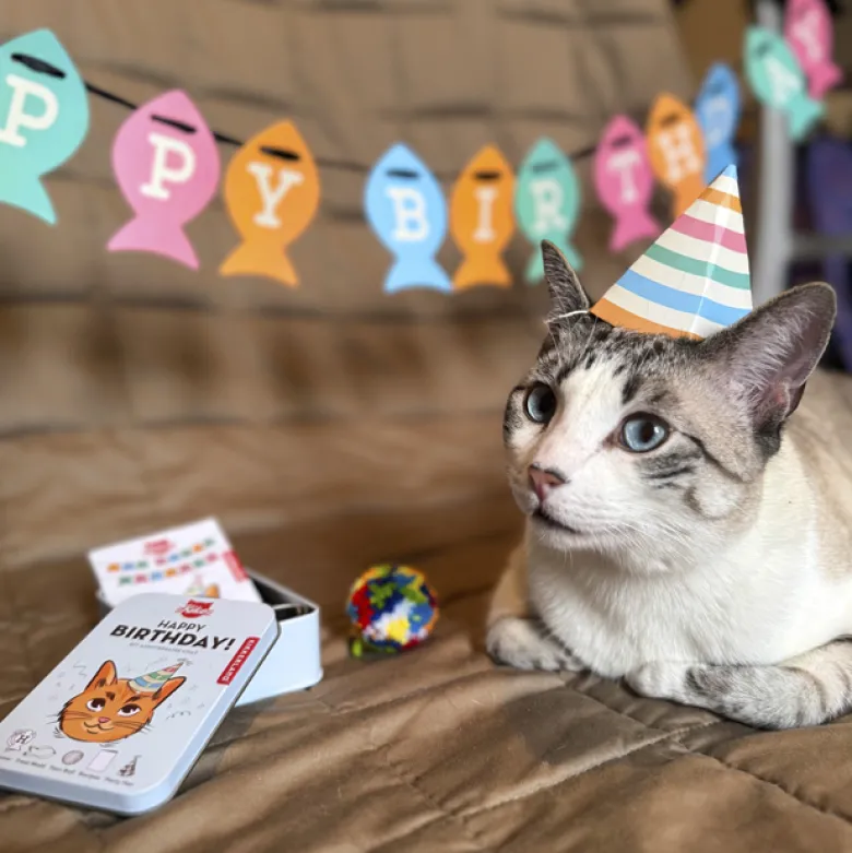 Kit anniversaire pour chat
