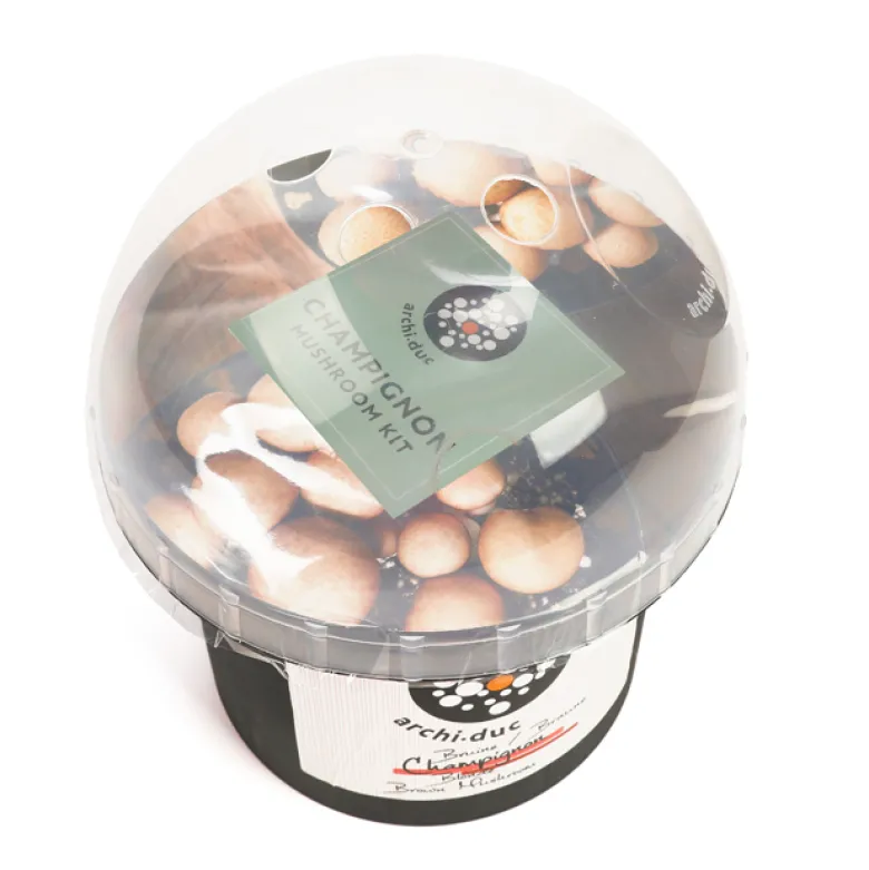 Kit champignons à faire pousser