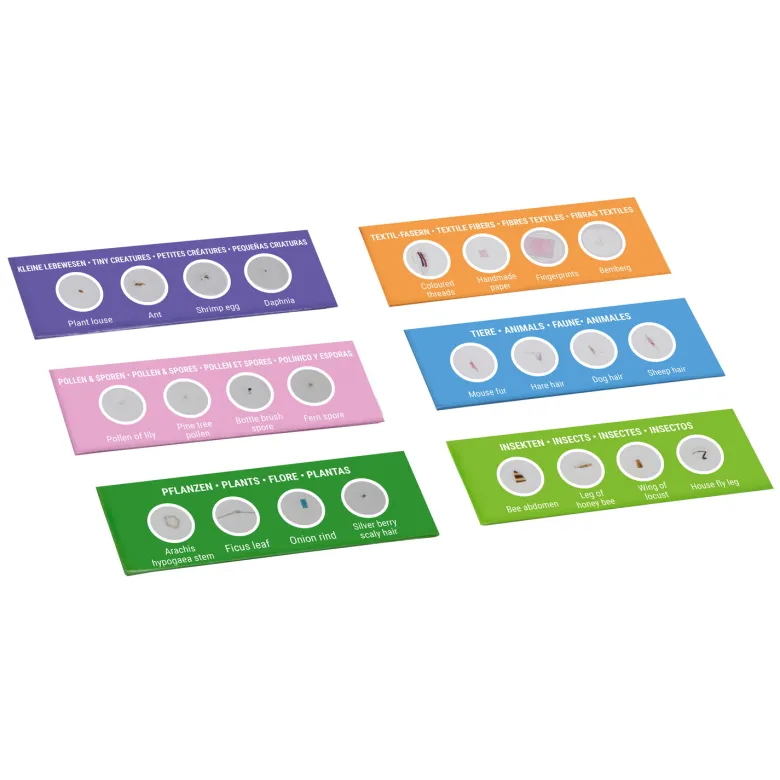 Kit d'expérimentation lames préparées