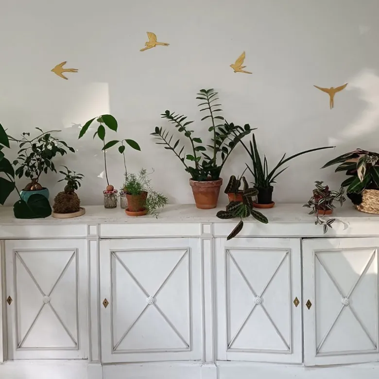 Kit oiseaux en argile à créer