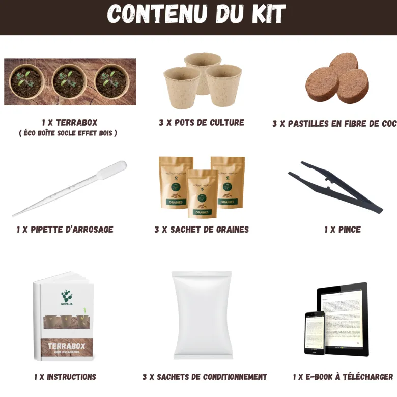 Kit plantes anti-moustique – citronnelle, lavande & romarin – répulsif naturel