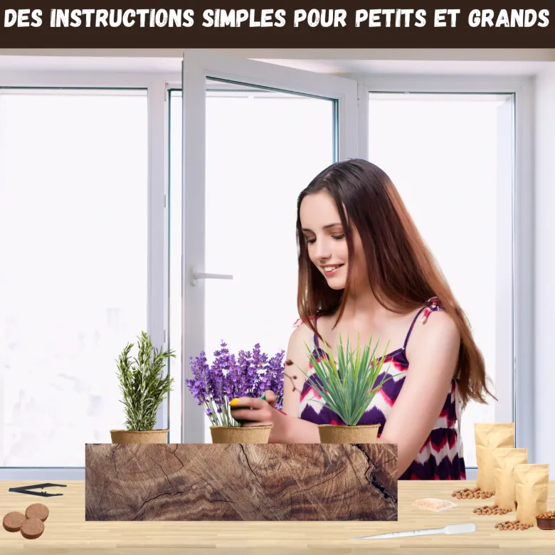 Kit plantes anti-moustique – citronnelle, lavande & romarin – répulsif naturel