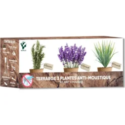Kit plantes anti-moustique – citronnelle, lavande & romarin – répulsif naturel