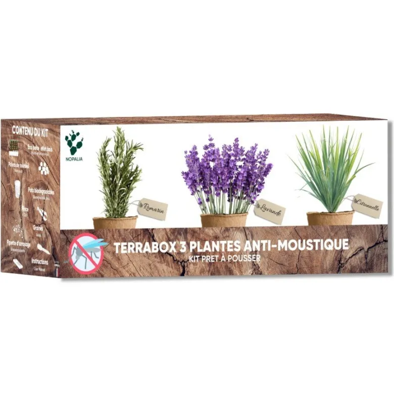 Kit plantes anti-moustique – citronnelle, lavande & romarin – répulsif naturel