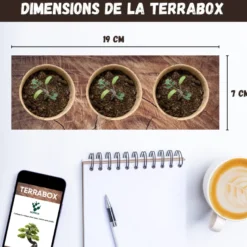 Kit plantes anti-moustique – citronnelle, lavande & romarin – répulsif naturel