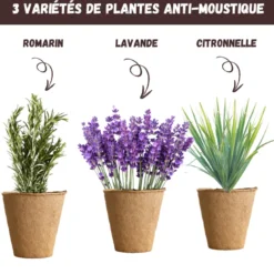 Kit plantes anti-moustique – citronnelle, lavande & romarin – répulsif naturel