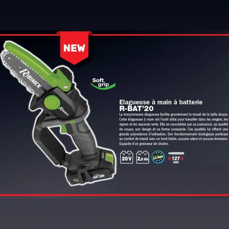 Élagueuse portative à batterie r-bat20 20v avec batterie 2 amp et câble de char