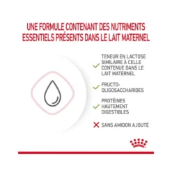 Lait maternisé chaton - babycat milk - royal canin