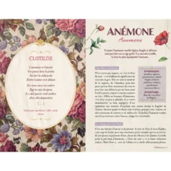 Langage secret des fleurs