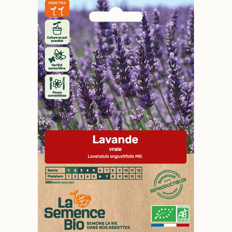 Lavande officinale bio