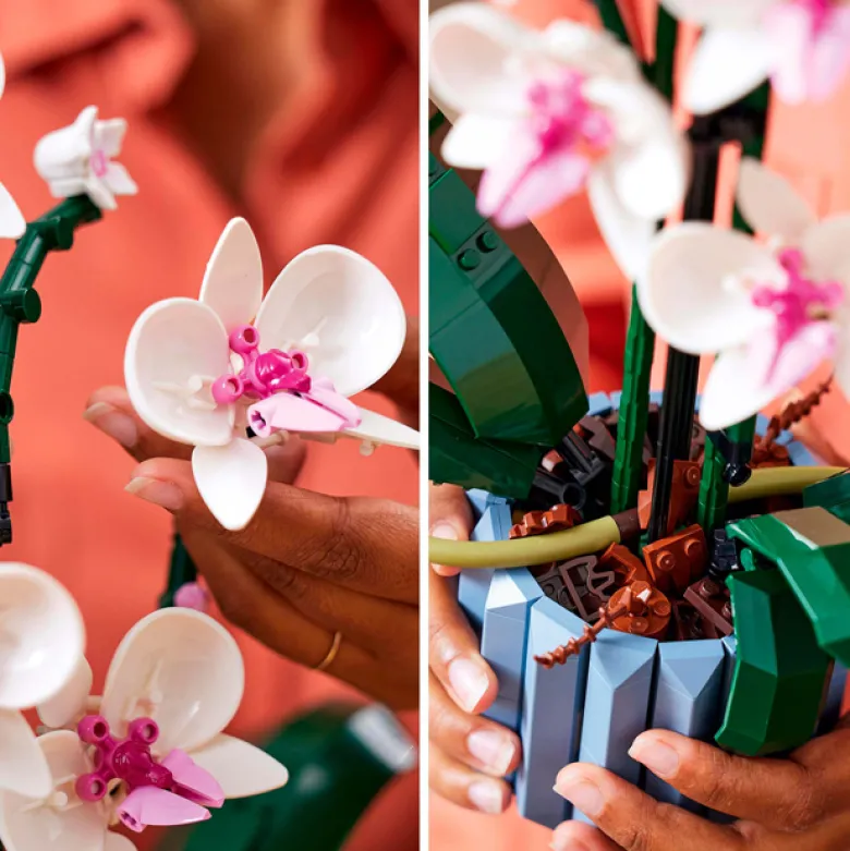 LEGO® Botanicals L'orchidée 10311
