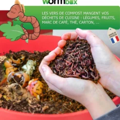 Lombricomposteur wormbox 4 plateaux, 72l