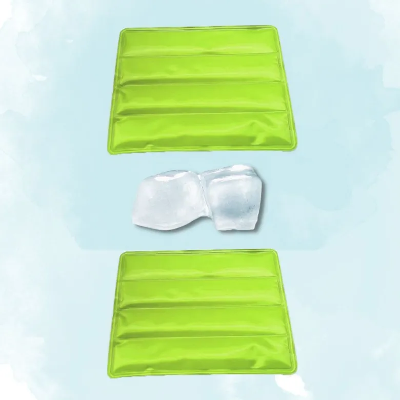 Lot de 2 coolpad crystal - vert
