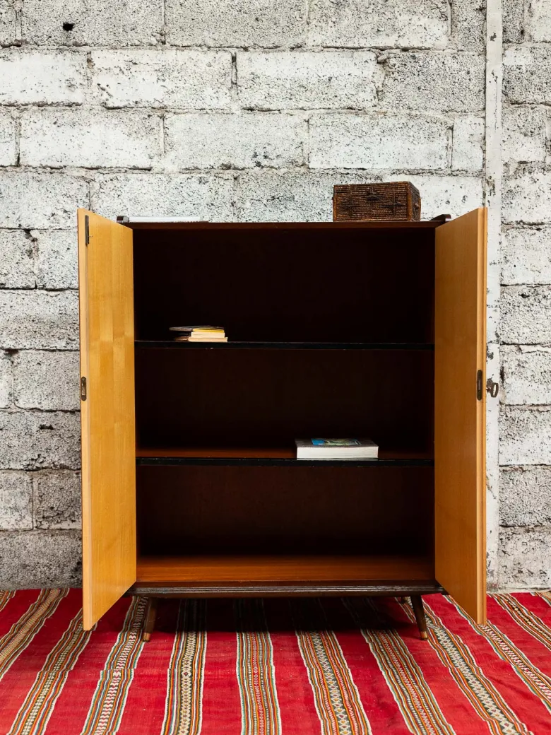 Magda, l'armoire bicolore n°719