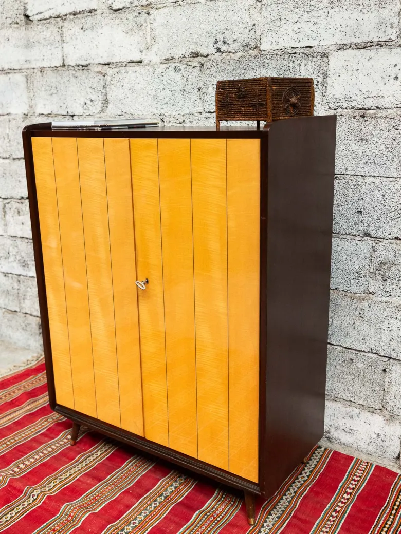 Magda, l'armoire bicolore n°719