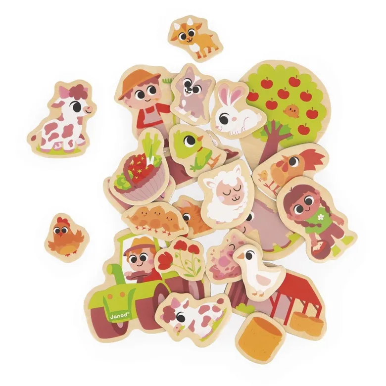 Magnets ferme 24 pièces