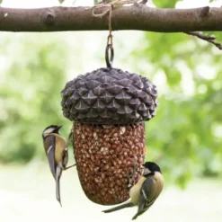 Mangeoire oiseaux a suspendre gland
