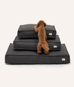 Matelas basic m - noir