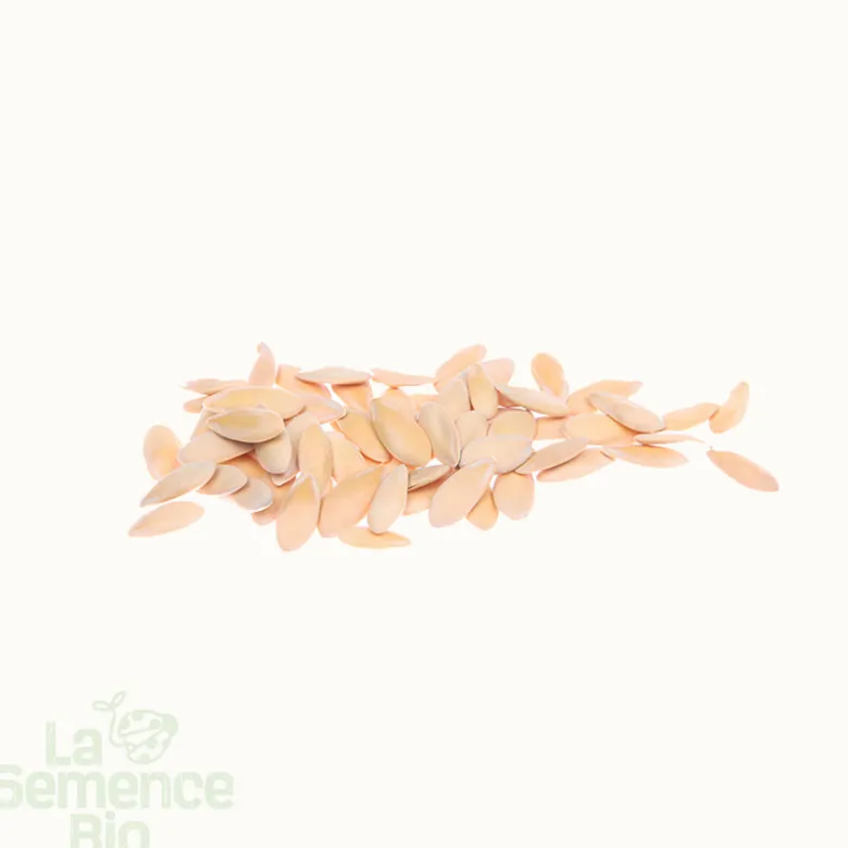 Melon charentais superprécoce du roc - védrantais - graines bio