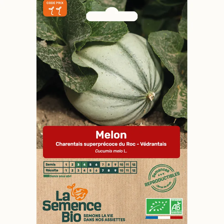 Melon charentais superprécoce du roc - védrantais - graines bio