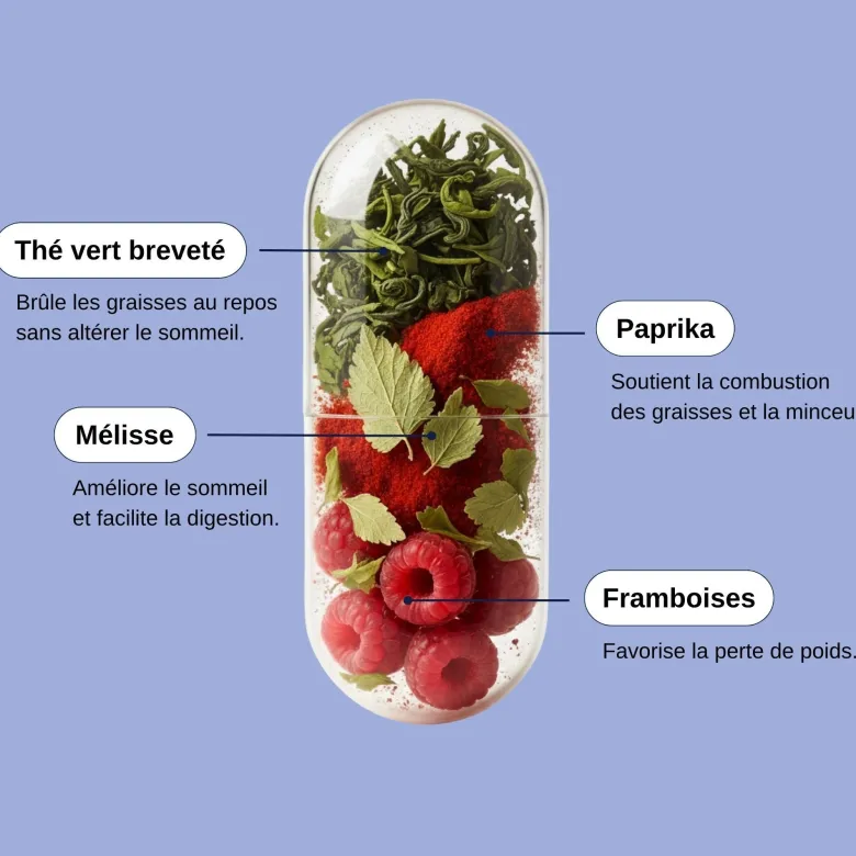 Minceur nuit - cure brevetée - 3 mois