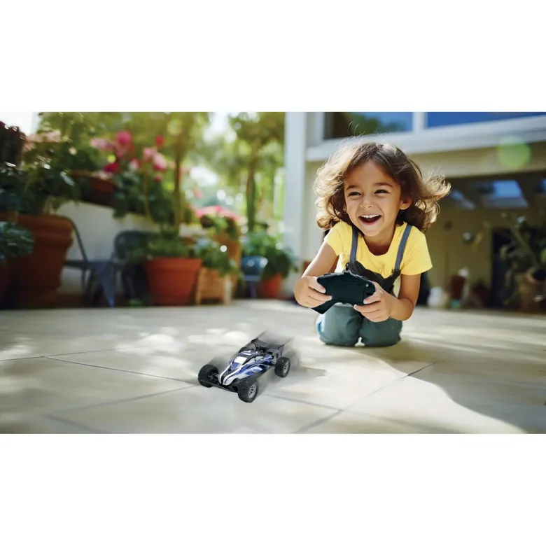 Mini buggy crosslander