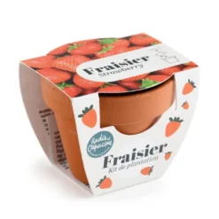 Mini kit 6 cm - fraise