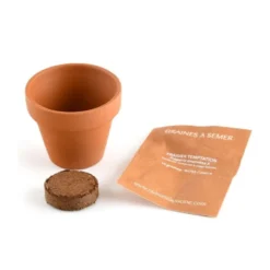 Mini kit 6 cm - fraise