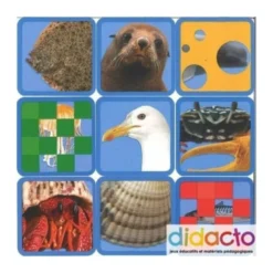 Mission - animaux les océans