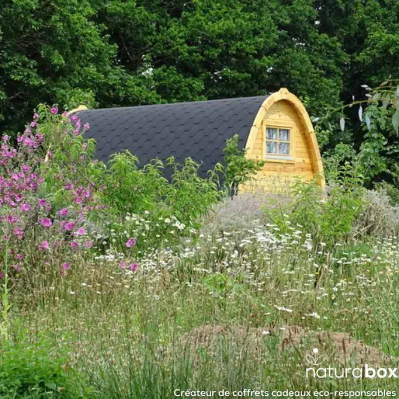 Naturellement bretagne - coffret digital